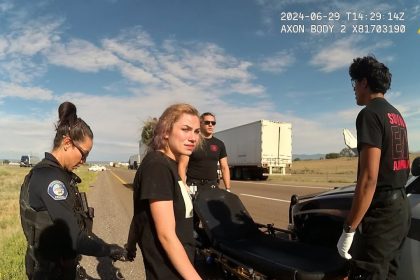 Woman Arrested After Taking Her Two Poodles on a High-Speed Chase and Flipping Her Car