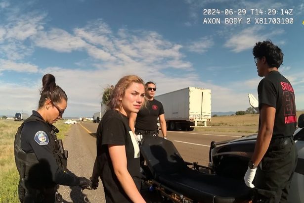 Woman Arrested After Taking Her Two Poodles on a High-Speed Chase and Flipping Her Car