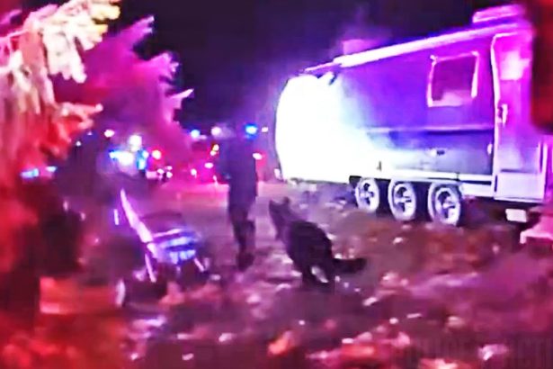 K9 Igo Ends Suspect’s Escape Attempt Instantly