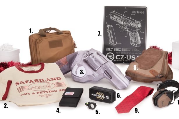 2025 Holiday Gift Guide: Gifts  to .99