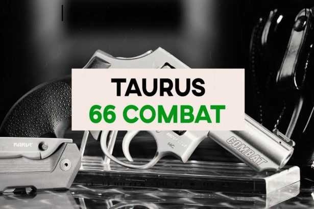 I Carry: Taurus 66 Combat Revolver in a Galco Holster