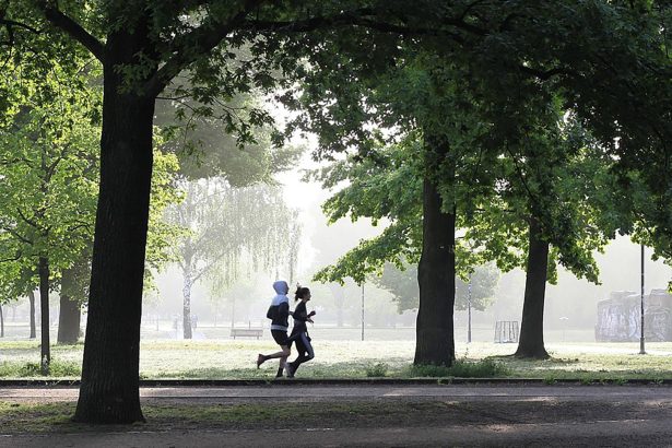 How Fast Can You Run?