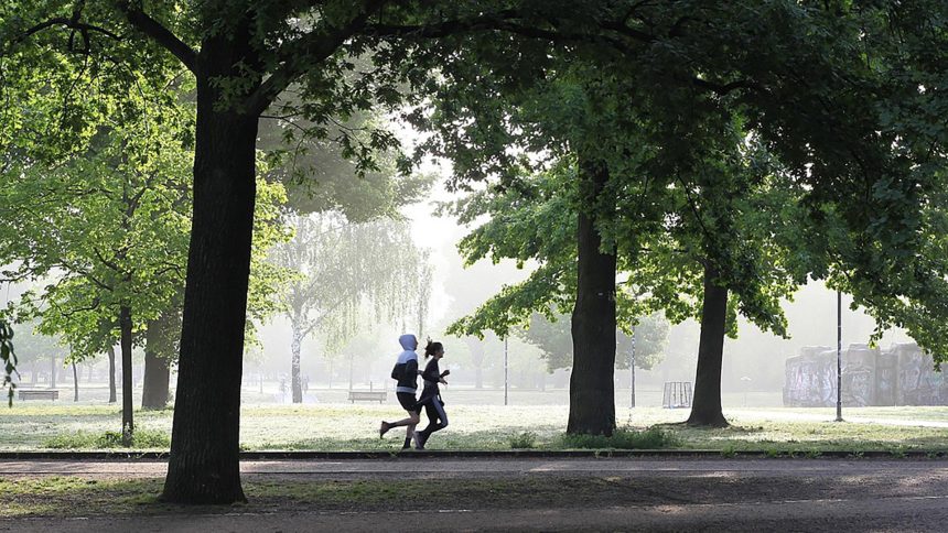 How Fast Can You Run?