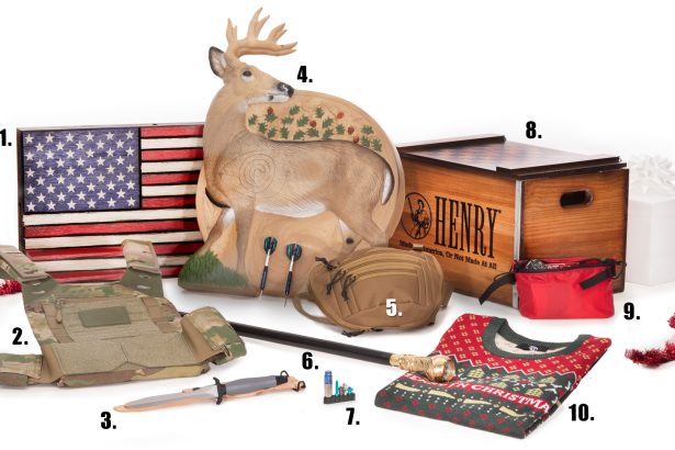 2025 Holiday Gift Guide: Gifts  to 9.99