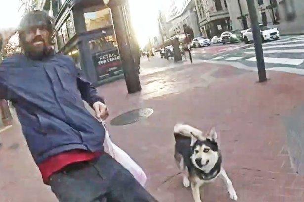 Off-Leash Dog And Owner Trigger Police Shooting