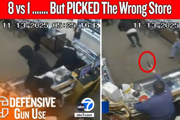 8 Masked Thieves vs 1 Armed Store Owner — Guess Who Ran