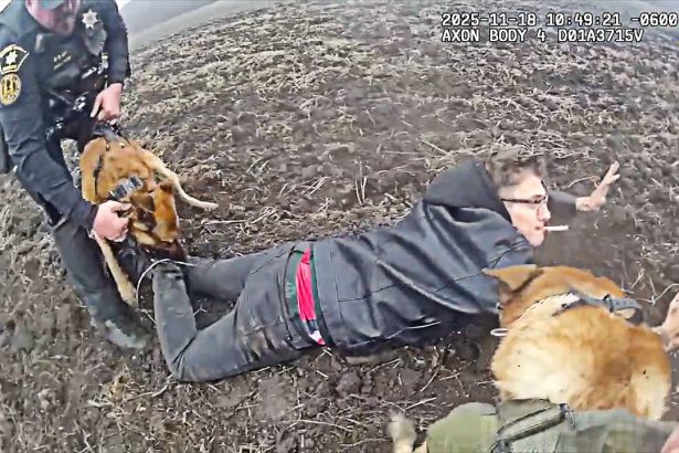 K9 Duo Brings Down Kenosha Shooting Suspect in a Muddy Field