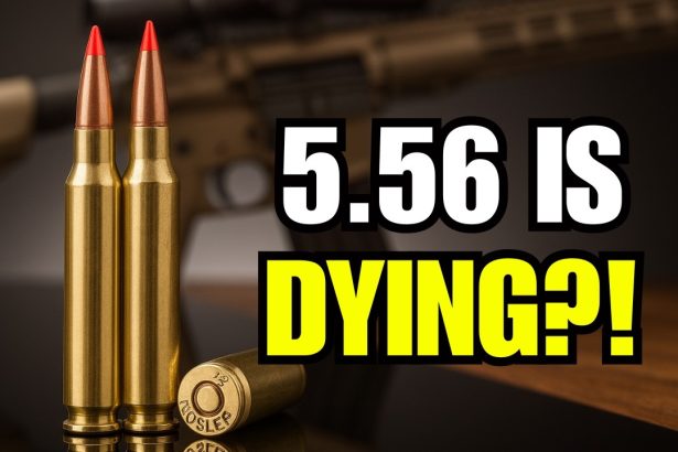 5.56 mm is DEAD! The New King of Rifle Calibers Revealed!