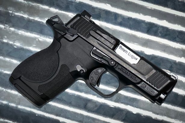 Review: CSX E-Series 3.1 Inch Pistol