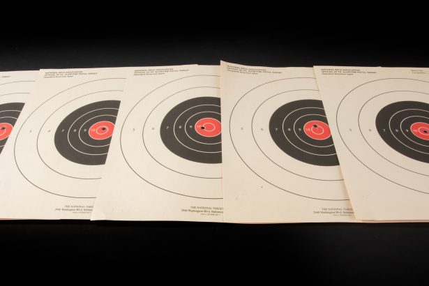 Making The Perfect Shot