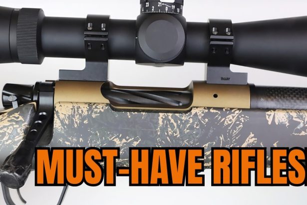 Top 5 Precision Hunting Rifles That Are Actually Worth Your Money [2025]