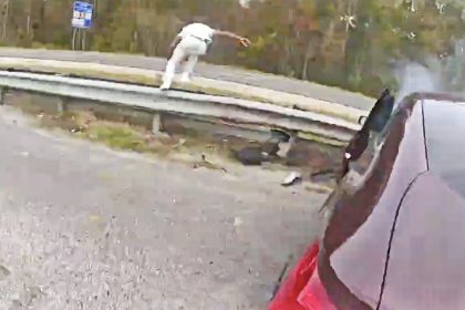 Deputies Chase Interpol Fugitive Who Fled From Traffic Stop and Stole Vehicle