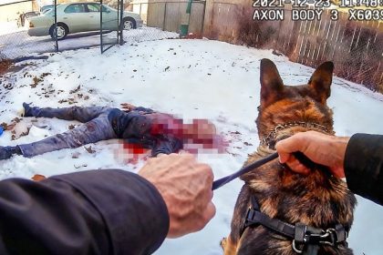 When Suspects Try KiLL Police Dogs..