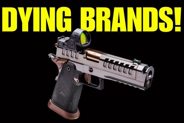6 GUN BRANDS on Brink of EXTINCTION🔥 (AVOID THEM!)