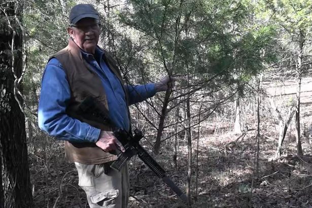 Christmas Tree Hunt 2025