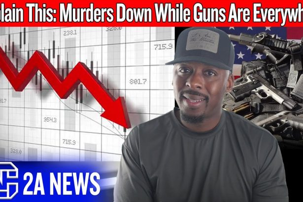 America Doesn’t Have a Gun Problem — The Data Just Proved It