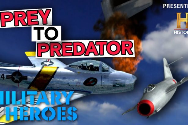 Elaborate Bait and Switch Sting | Dogfights