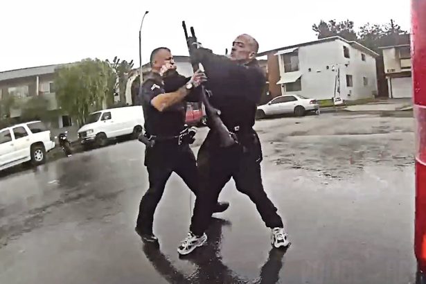 Armed Suspect Shoots at LAPD Officers After Foot Pursuit