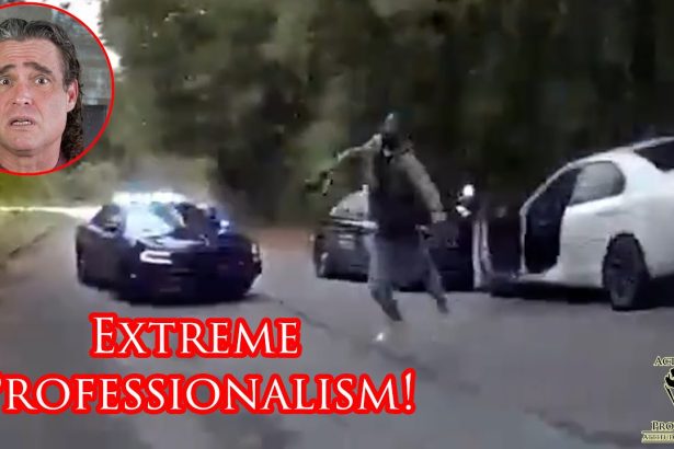 Fugitive Apprehension Team Encounters Wanted Felon