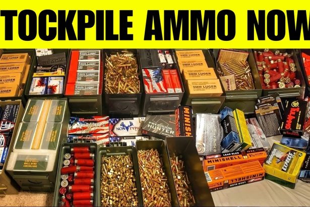 7 Rounds Every American Should Stockpile Before The 2026 Ammo Crunch!