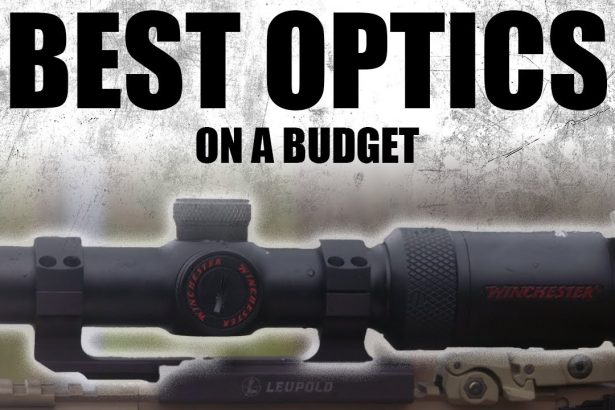 Best Optics On A Budget | Tactical RIfleman