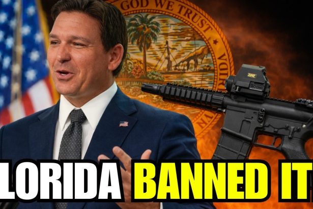 Florida Just Told Gun Owners: We’re Ending This