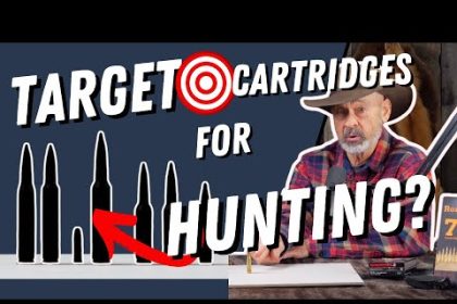 Target Cartridges That Make Excellent Hunting Rounds!