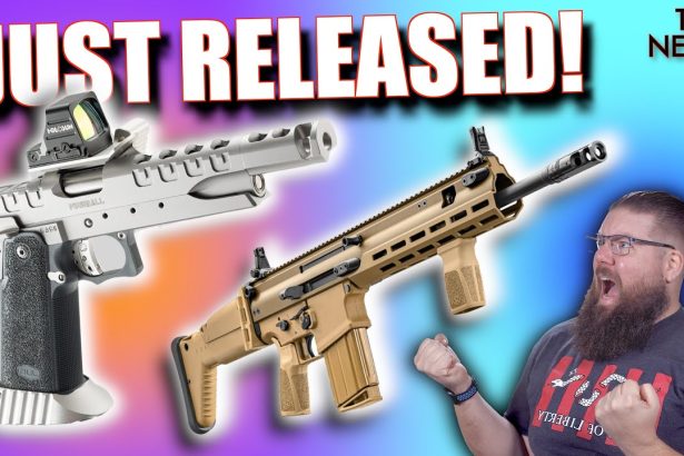 WOW! 40 NEW GUNS just got released!
