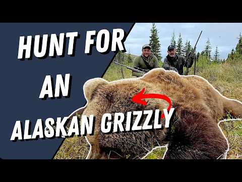 Hunting an Alaska Grizzly Bear