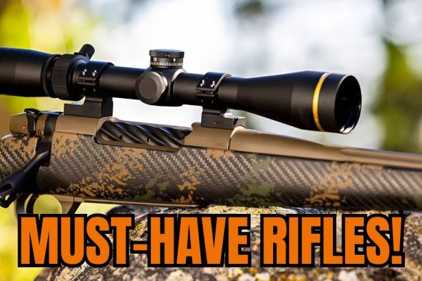 Top 5 Precision Hunting Rifles That Are Actually Worth Your Money
