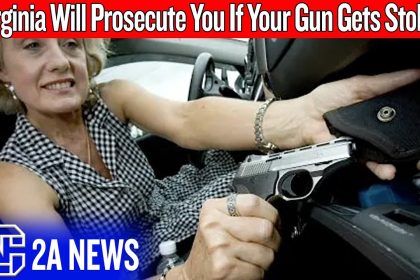 This Virginia Gun Law Turns Victims Into Criminals – VA SB496