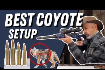 The Ultimate Coyote Setup: Best Rifle & Cartridge Explained