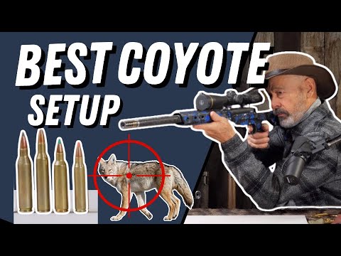The Ultimate Coyote Setup: Best Rifle & Cartridge Explained
