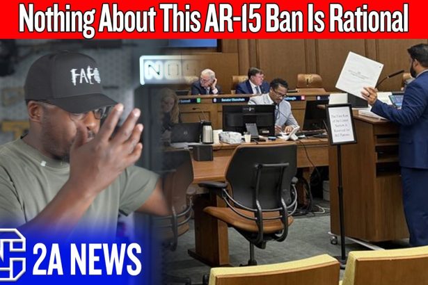 They’ve Completely Lost Their Minds With This New AR-15 Ban
