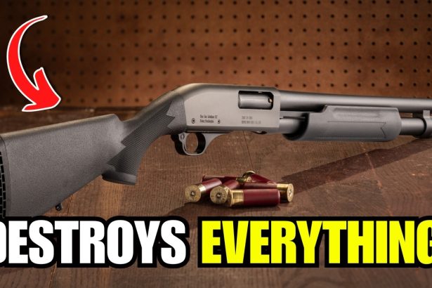 Why 12 Gauge Is the MOST POWERFUL Round in America (Nothing Comes Close)