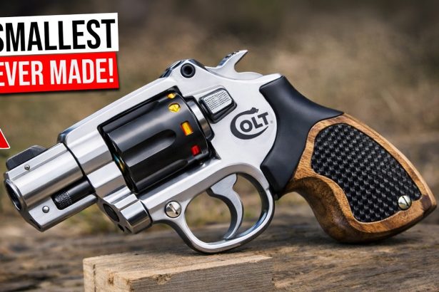 The 6 Smallest Revolvers Ever Made – Number 1 Is Unreal!
