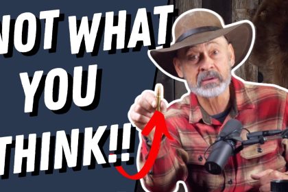 Best Cartridges for Africa? (The Answer May Surprise You!!)