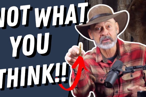 Best Cartridges for Africa? (The Answer May Surprise You!!)