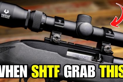 TOP 6 Prepper Guns For SHTF! Best Survival Guns