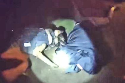 K9 Asher Tracks And Bites Fleeing Suspect After Pursuit