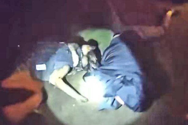 K9 Asher Tracks And Bites Fleeing Suspect After Pursuit