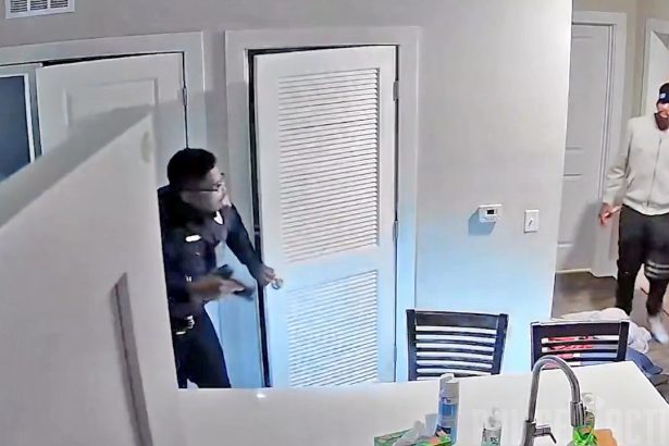 Police Tase Robbery Suspect After Being Let in by Pimp Suspect