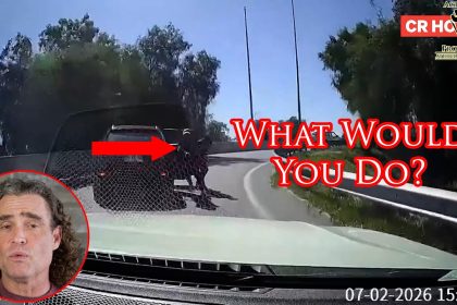 Savvy Defender Outsmarts Armed Carjackers!