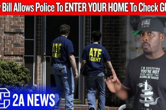 New Gun Bill Allows Police To Enter Your Home To Check Your Guns Without A Warrant – SF 4290