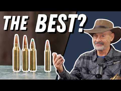 Best Beginner Hunting Cartridges — Simple, Effective Choices