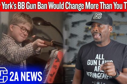 The Real Reason New York Is Going After BB Guns