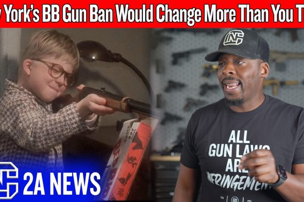 The Real Reason New York Is Going After BB Guns