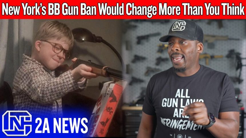 The Real Reason New York Is Going After BB Guns