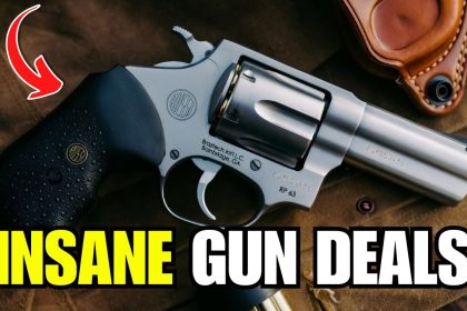 5 CHEAP GUNS EVERYONE IGNORES (But These 3 Guns Are Absolute Goldmines)