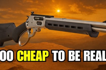 Top 5 Rifles For The $$$ (2026) || Best Budget Rifles on the Market?!